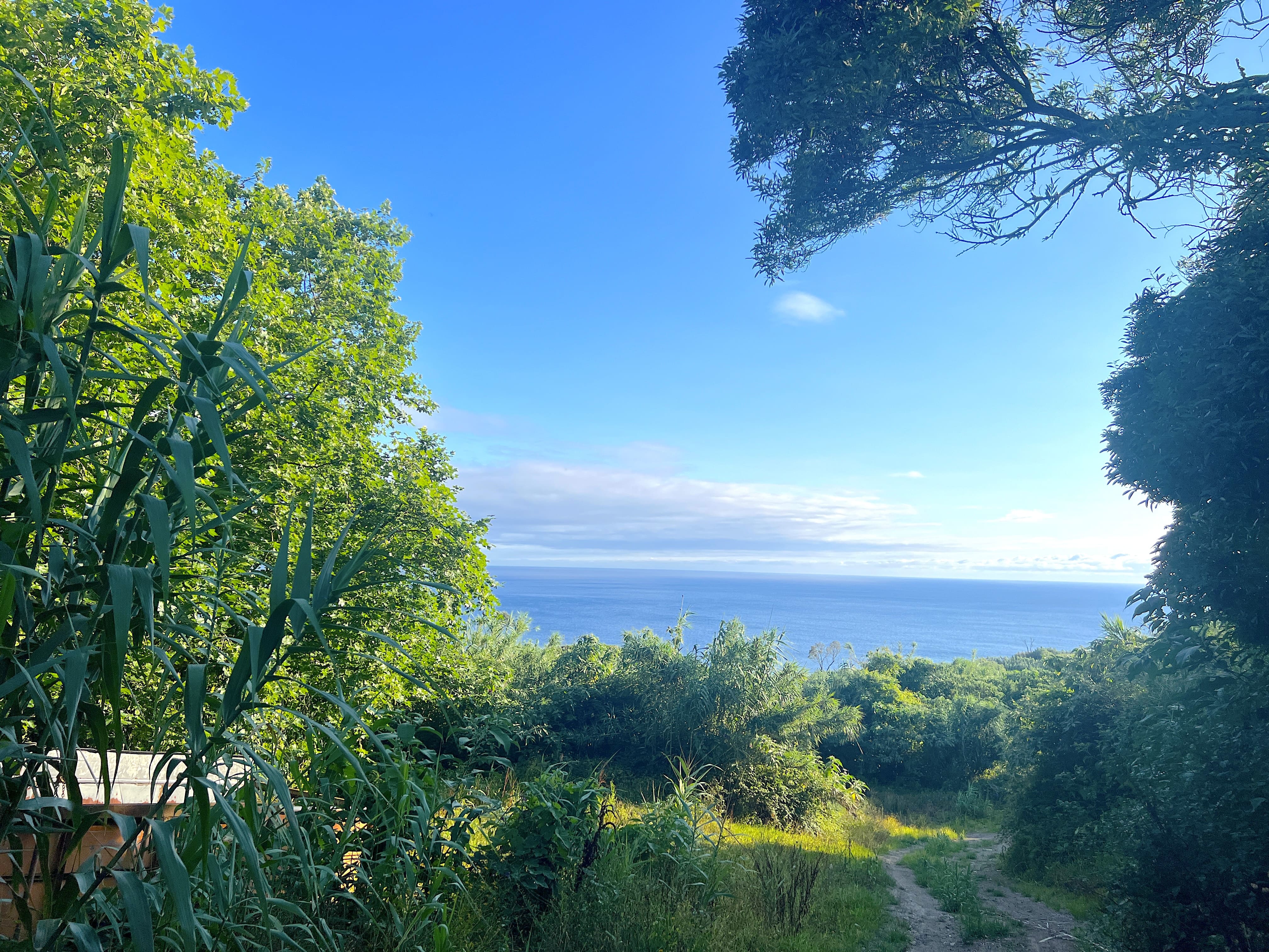 Land for sale in Ponta Delgada, Portugal — €225,000